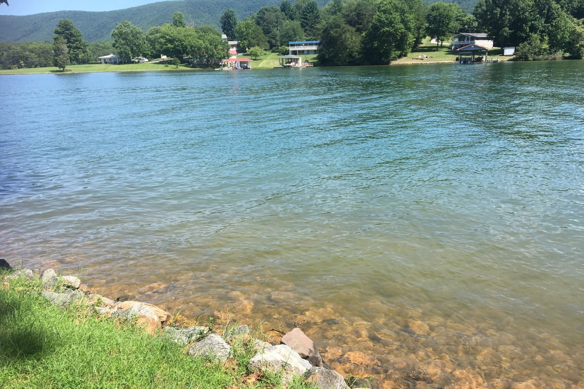 View from house deck